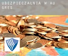 Ubezpieczalnia w  Au Gres