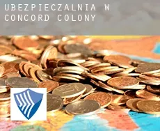 Ubezpieczalnia w  Concord Colony