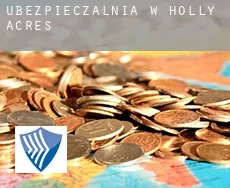 Ubezpieczalnia w  Holly Acres