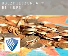 Ubezpieczenia w  Billups