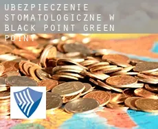 Ubezpieczenie stomatologiczne w  Black Point-Green Point