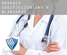 Doradca ubezpieczeniowy w  Blanshard