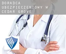 Doradca ubezpieczeniowy w  Cedar Grove