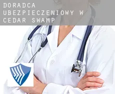 Doradca ubezpieczeniowy w  Cedar Swamp
