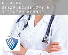 Doradca ubezpieczeniowy w  Hrabstwo Monroe