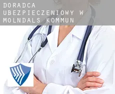 Doradca ubezpieczeniowy w  Mölndals Kommun