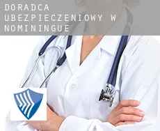 Doradca ubezpieczeniowy w  Nominingue