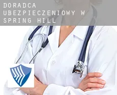 Doradca ubezpieczeniowy w Spring Hill