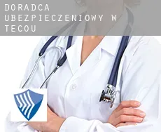 Doradca ubezpieczeniowy w Técou