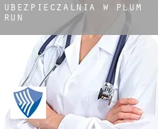 Ubezpieczalnia w  Plum Run