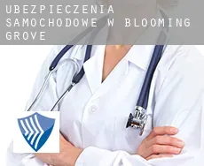 Ubezpieczenia samochodowe w Blooming Grove