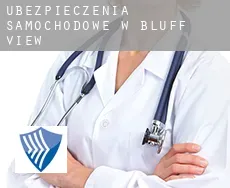 Ubezpieczenia samochodowe w  Bluff View