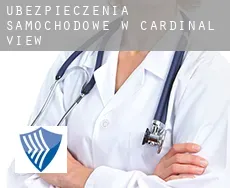Ubezpieczenia samochodowe w  Cardinal View