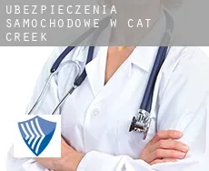 Ubezpieczenia samochodowe w  Cat Creek
