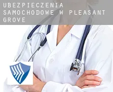 Ubezpieczenia samochodowe w  Pleasant Grove