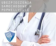 Ubezpieczenia samochodowe w  Popwellville