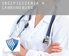 Ubezpieczenia w Cannonsburg