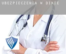 Ubezpieczenia w Dixie