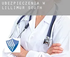 Ubezpieczenia w  Lillimur South