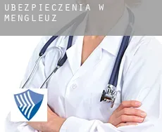 Ubezpieczenia w  Mengleuz