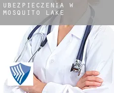 Ubezpieczenia w  Mosquito Lake