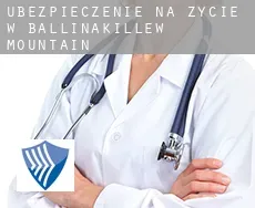 Ubezpieczenie na życie w  Ballinakillew Mountain