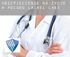 Ubezpieczenie na życie w  Pocono Laurel Lake