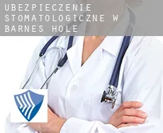 Ubezpieczenie stomatologiczne w  Barnes Hole