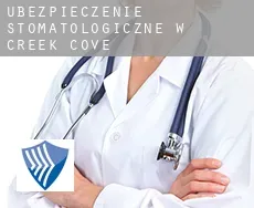 Ubezpieczenie stomatologiczne w  Creek Cove
