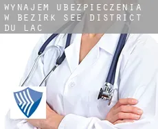 Wynajem ubezpieczenia w  Bezirk See/District du Lac