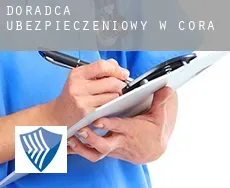 Doradca ubezpieczeniowy w  Cora