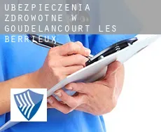 Ubezpieczenia zdrowotne w  Goudelancourt-lès-Berrieux