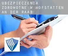 Ubezpieczenia zdrowotne w  Hofstätten an der Raab