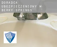 Doradca ubezpieczeniowy w  Berry Springs