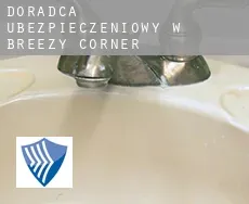 Doradca ubezpieczeniowy w  Breezy Corner