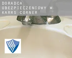 Doradca ubezpieczeniowy w  Karrs Corner