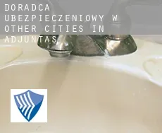 Doradca ubezpieczeniowy w  Other cities in Adjuntas