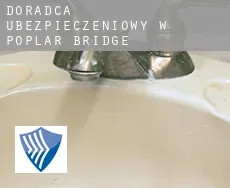Doradca ubezpieczeniowy w  Poplar Bridge