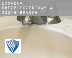 Doradca ubezpieczeniowy w  South Branch