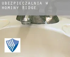 Ubezpieczalnia w  Hominy Ridge