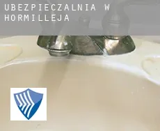 Ubezpieczalnia w  Hormilleja