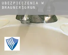 Ubezpieczenia w  Braunersgrün