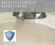 Ubezpieczenia w  Kiebitzhöhe