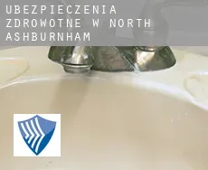 Ubezpieczenia zdrowotne w  North Ashburnham