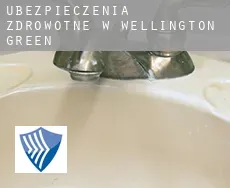 Ubezpieczenia zdrowotne w  Wellington Green