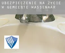Ubezpieczenie na życie w  Gemeente Wassenaar