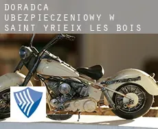 Doradca ubezpieczeniowy w  Saint-Yrieix-les-Bois