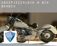 Ubezpieczalnia w  Big Branch