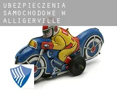 Ubezpieczenia samochodowe w  Alligerville