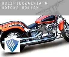 Ubezpieczalnia w  Hoicks Hollow